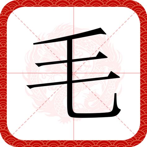 毛|毛（汉语汉字）